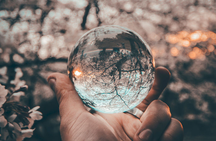 A hand holding a crystal ball reflecting the trees at dusk
